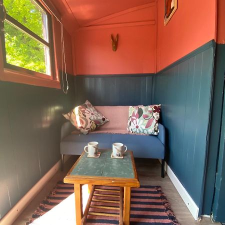The Hares Hut At Carrigeen Glamping Kilkenny Exteriér fotografie