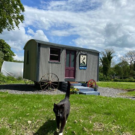 The Hares Hut At Carrigeen Glamping Kilkenny Exteriér fotografie