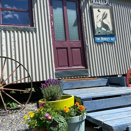 The Hares Hut At Carrigeen Glamping Kilkenny Exteriér fotografie