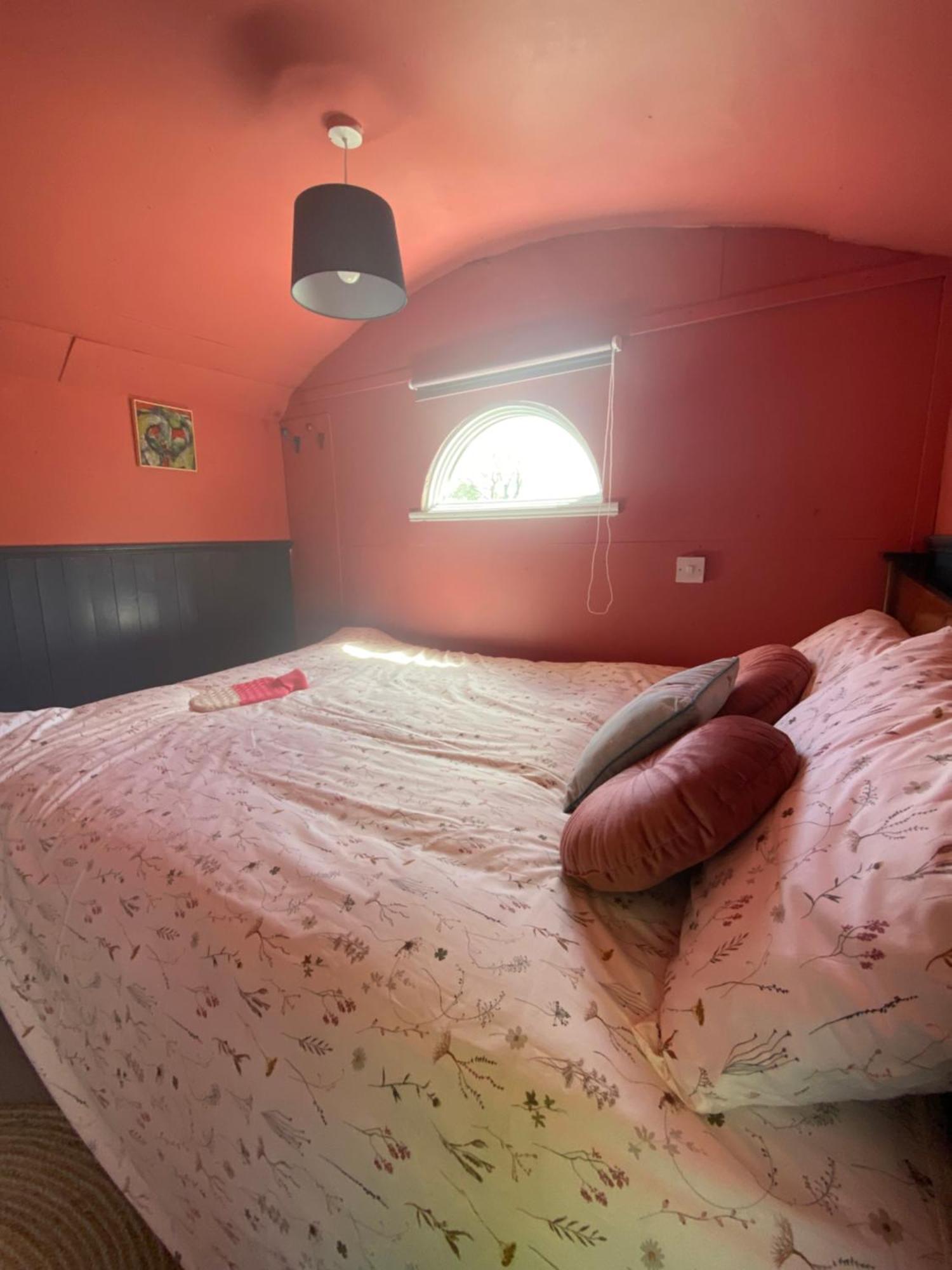 The Hares Hut At Carrigeen Glamping Kilkenny Exteriér fotografie