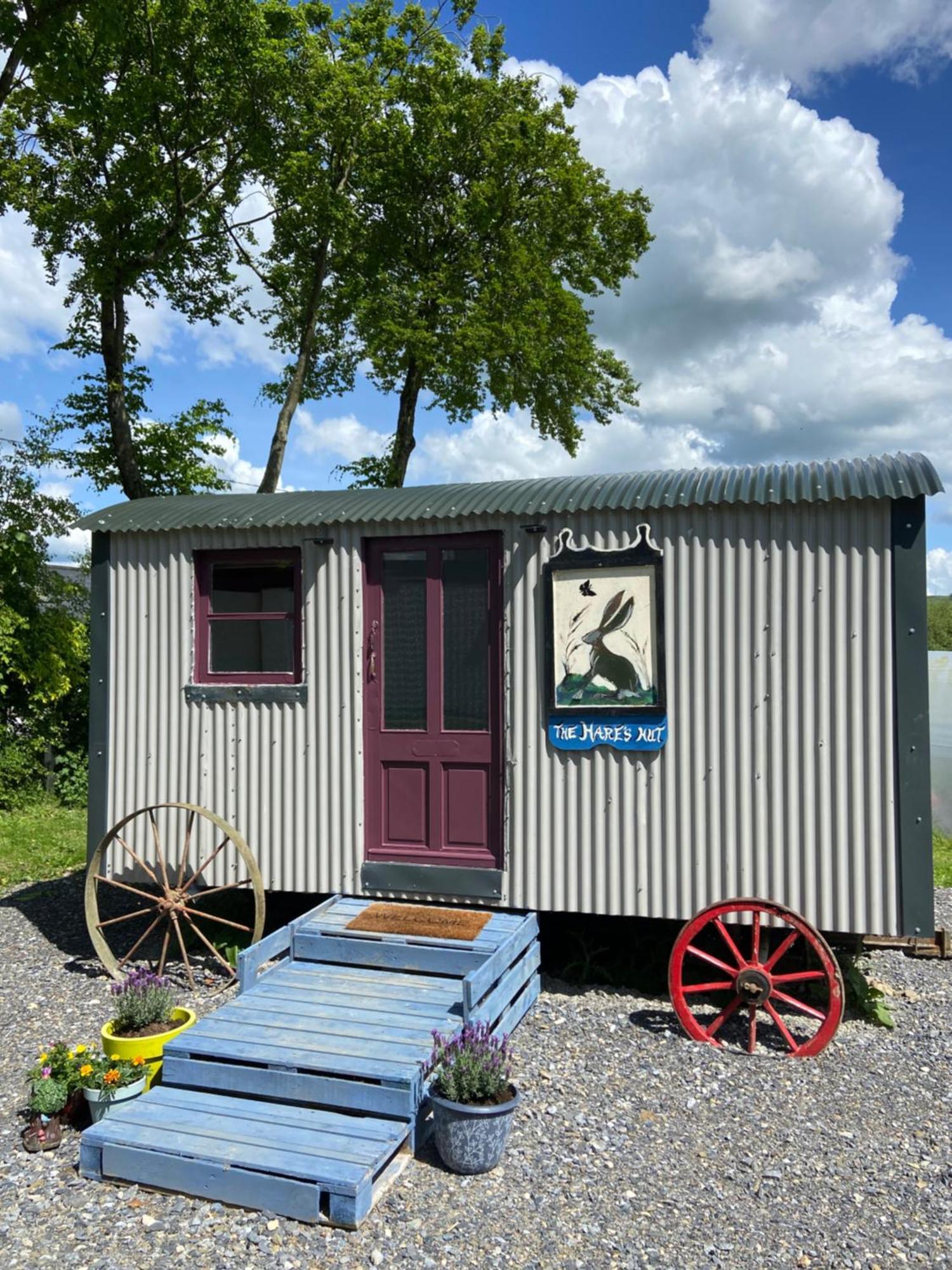 The Hares Hut At Carrigeen Glamping Kilkenny Exteriér fotografie